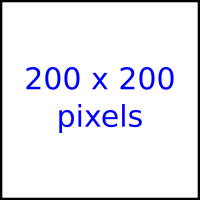 Papel de Parede Tropical - Imagem 3